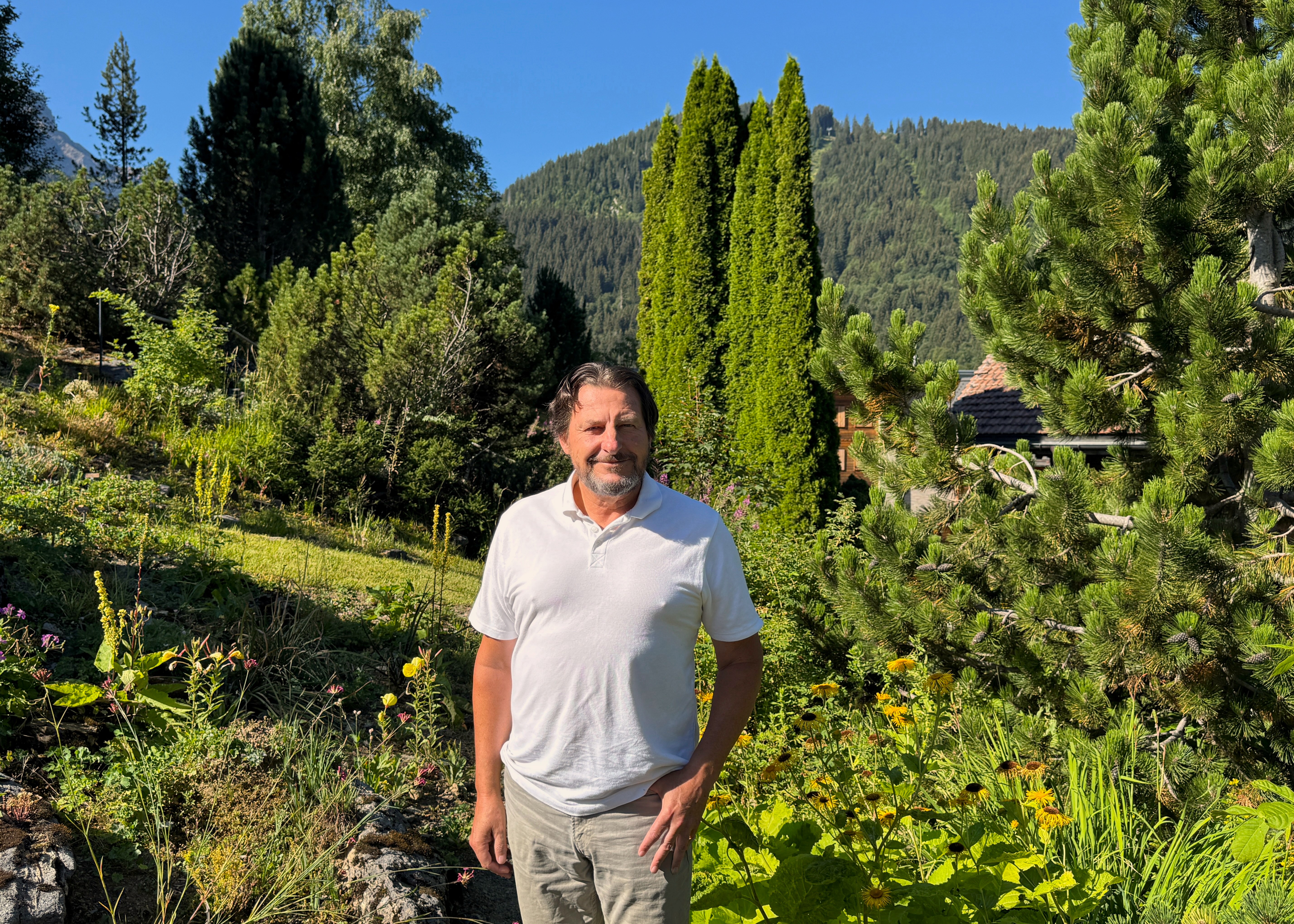 Les Diablerets : les fleurs alpines s'épanouissent au coeur du village 